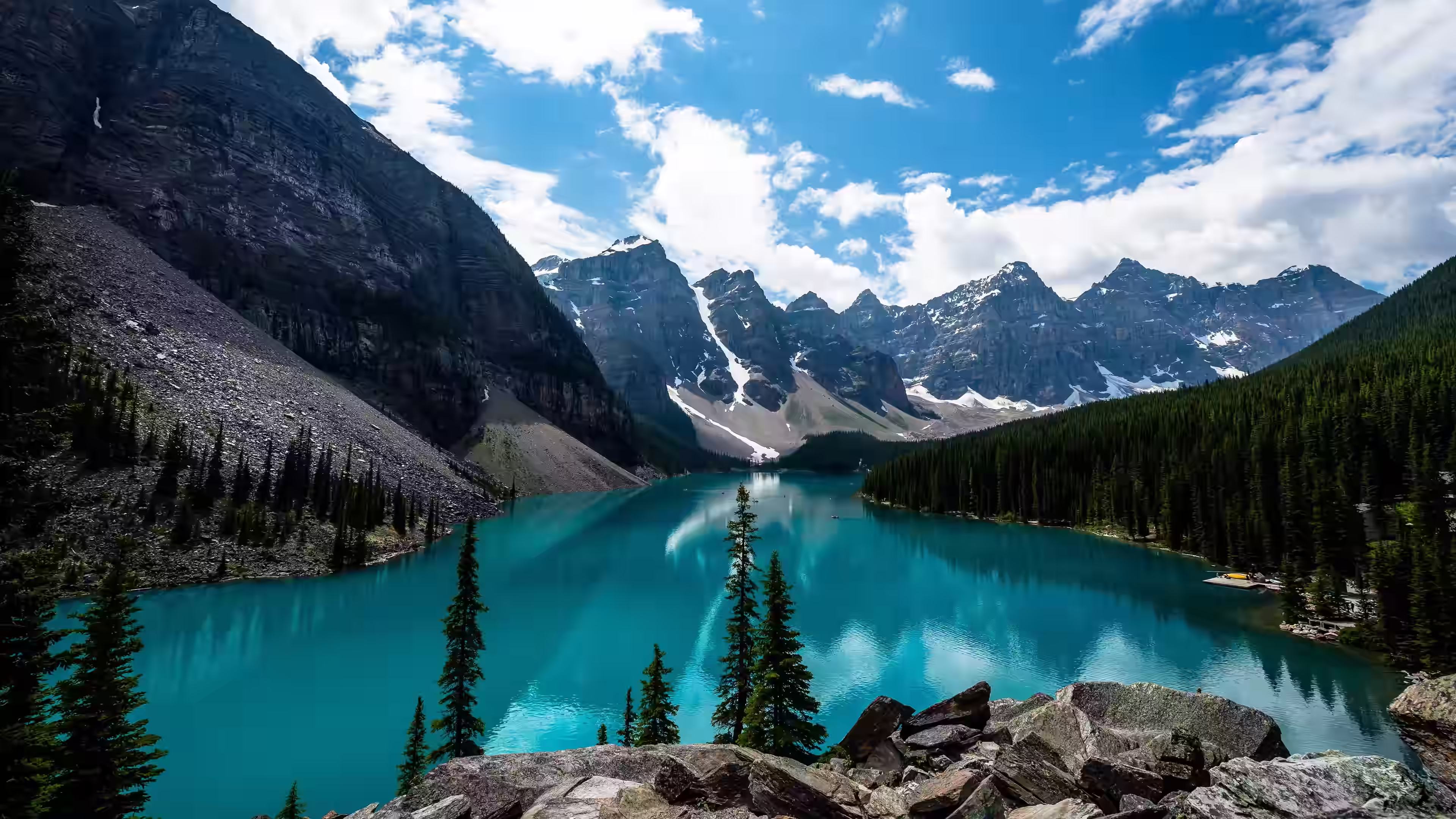 Lush green forest and mountain landscape