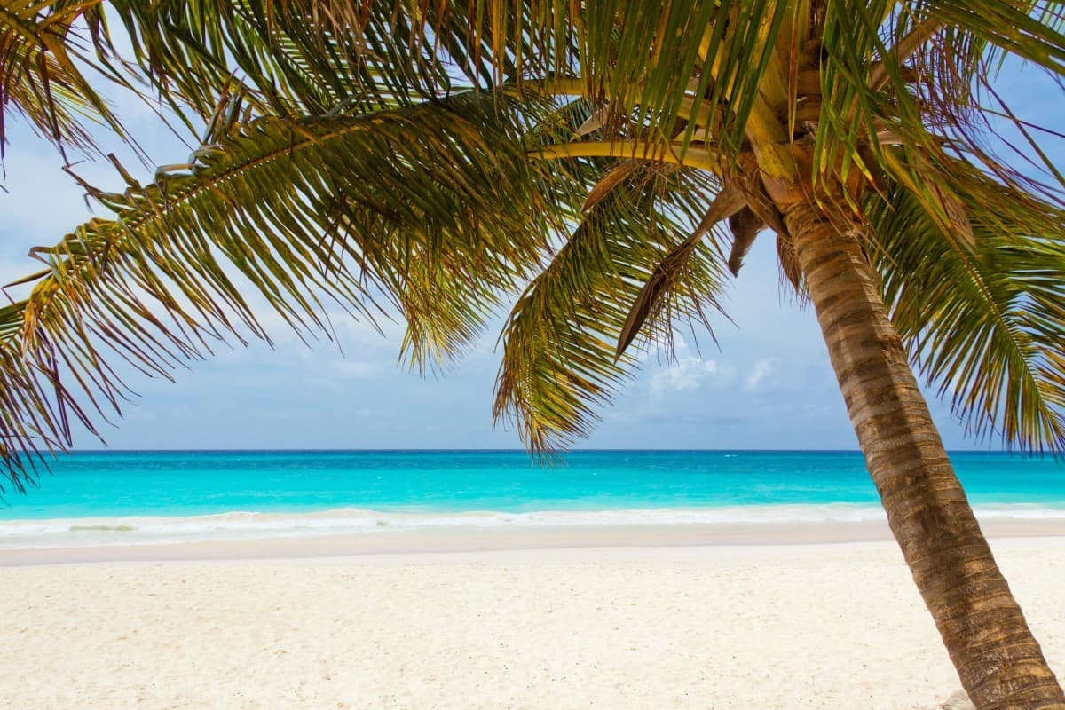 Turquoise sea and sandy beach